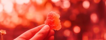 Where to Buy Freeze Dried Candy